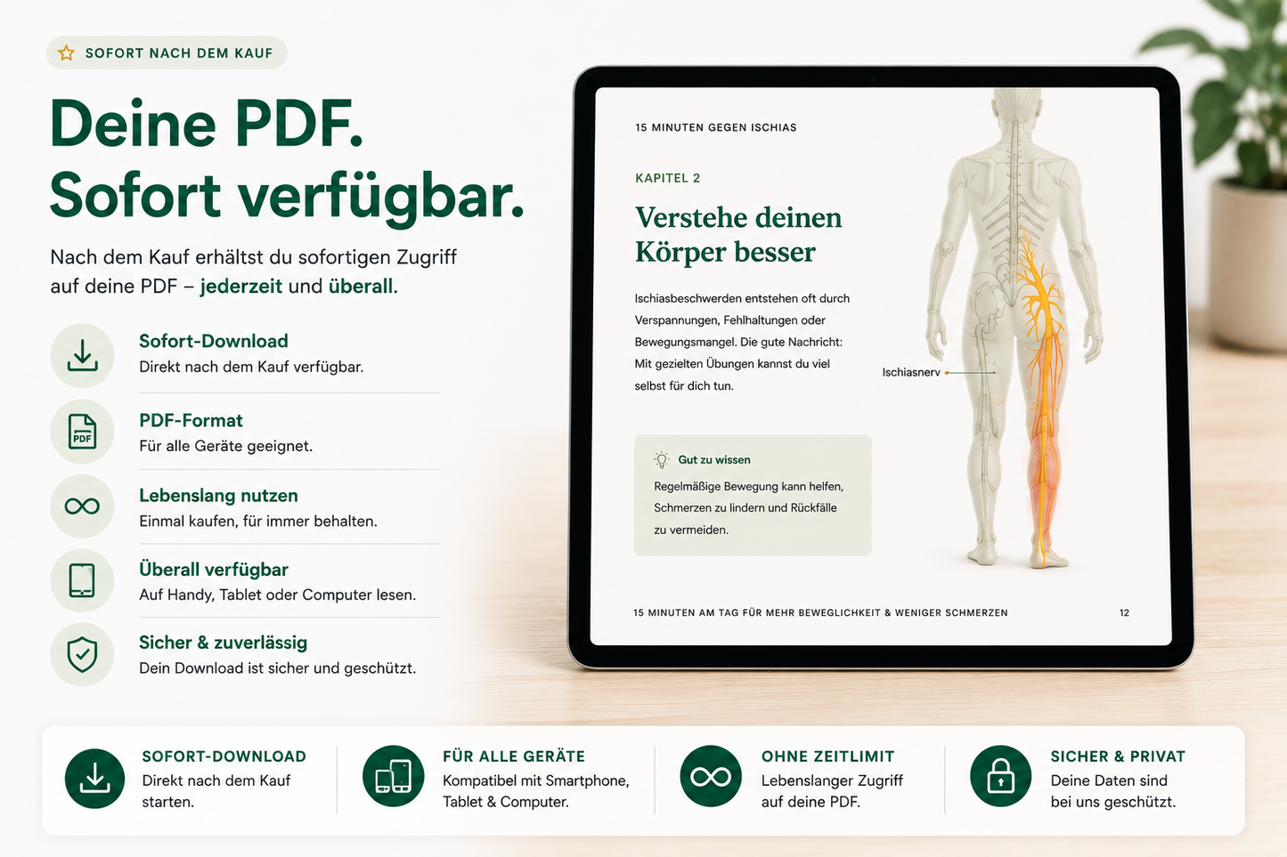 „15 Minuten gegen Ischias“ PDF